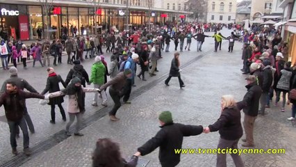 Cop21  : Des chambériens bravent l'interdiction de manifester
