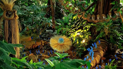 Preview de Nouveau Monde au Grand Palais par ALEXIS Tricoire en vidéo