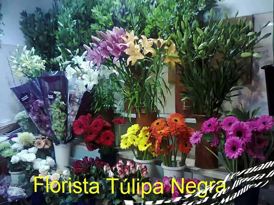 Florista