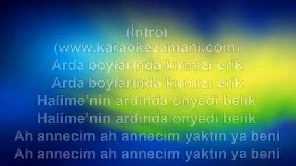 Şükriye Tutkun - Arda Boyları - 1997 TÜRKÇE KARAOKE