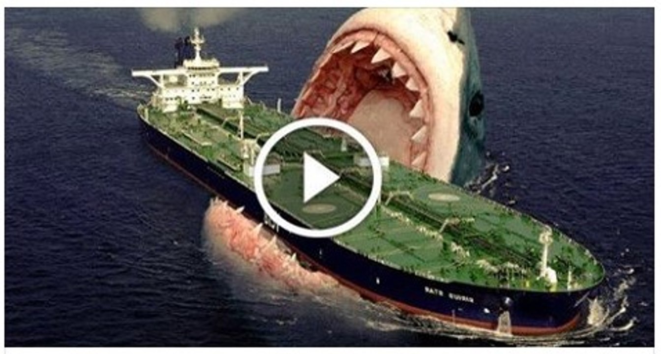 Scientists Discover Extinct Megalodon Shark in Atlantic Ocean