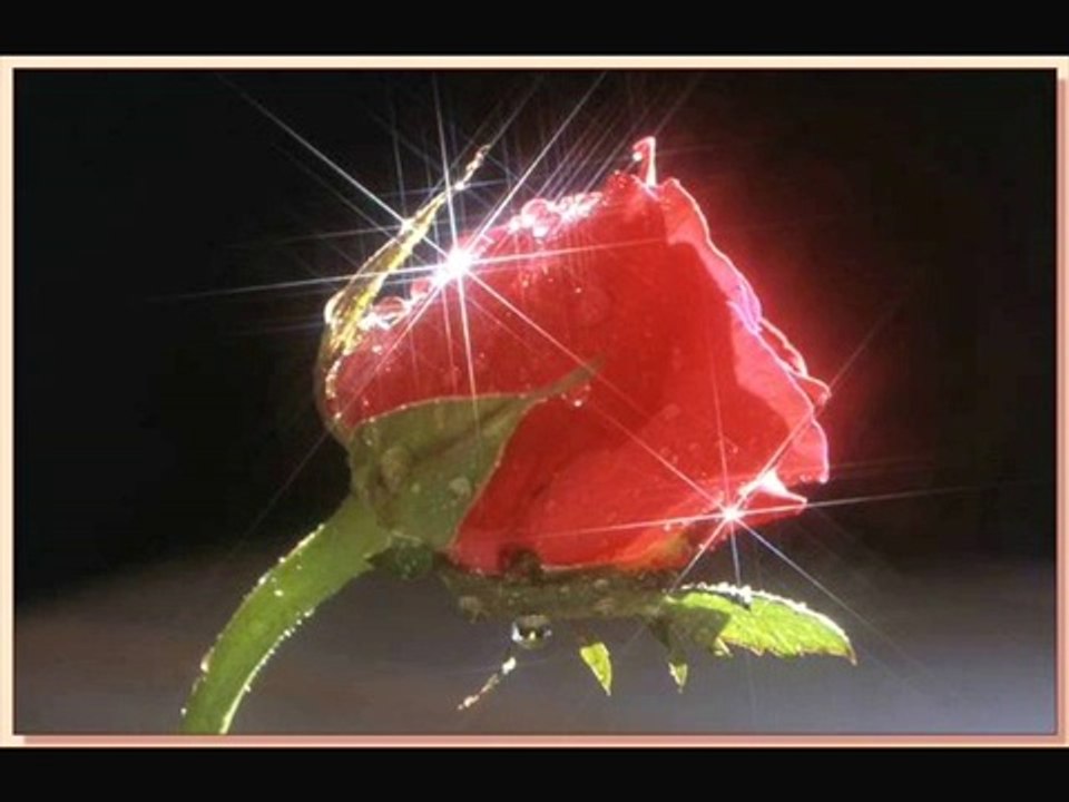 kenan dayı vay gülüm