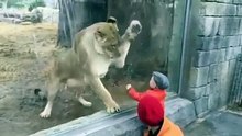 Kids are Fearless