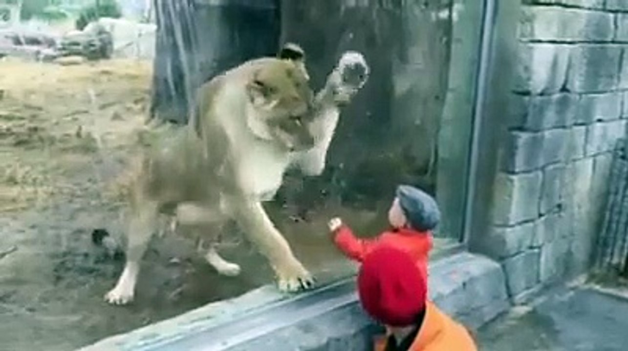 Kids are Fearless