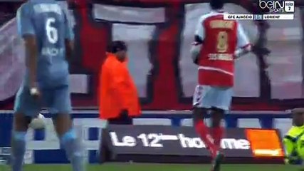 Kamil Grosicki Goal - Reims 2 - 2tRennes - 28_11_2015