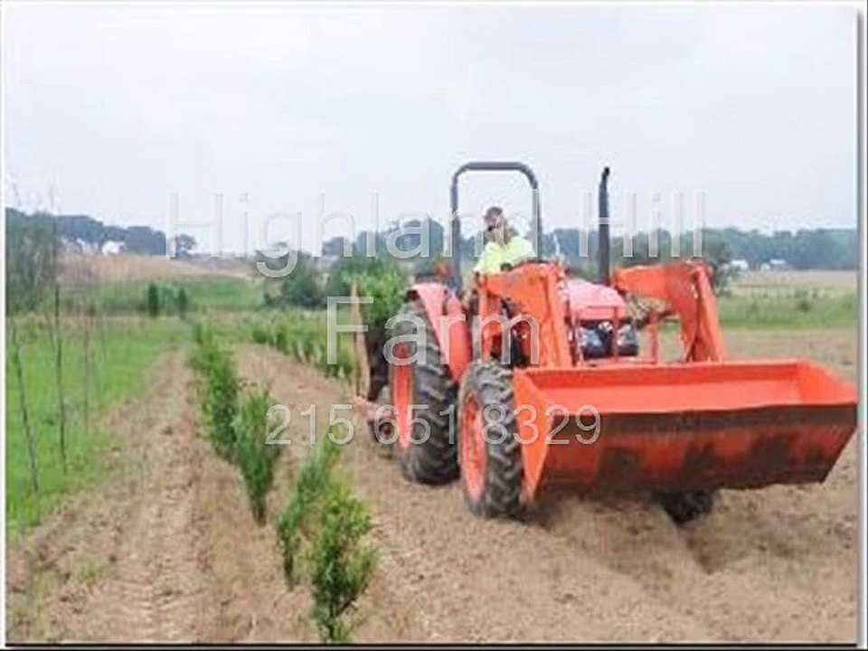 Our Acorn Seedling Growing Plan