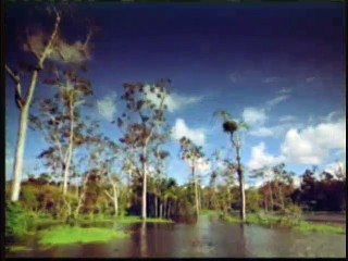 The miracle planet - 1: Evidence for creation on earth