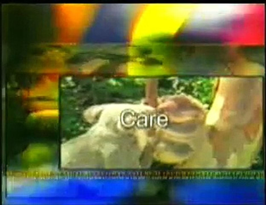 ALTRUISMUS IN DER NATUR