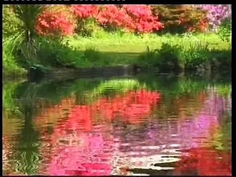 ПРОРОК СУЛЕЙМАН (СОЛОМОН), мир ему