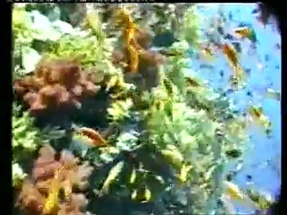 LA TECHNOLOGIE DANS LA NATURE