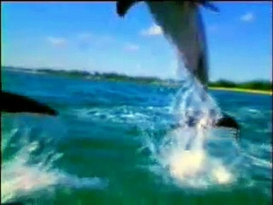 TECHNOLOGIE IN DER NATUR