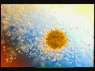 KEAJAIBAN PENCIPTAAN MANUSIA