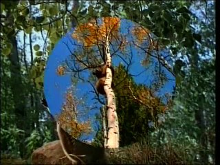 Мир животных