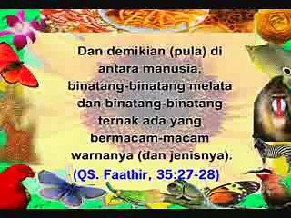 KEAJAIBAN WARNA: KEAGUNGAN ALLAH DALAM  PENCIPTAAN WARNA