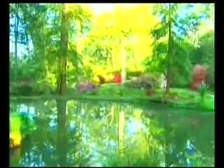 Аллах се опознава с разум