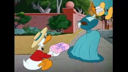 DONALD DUCK CARTOONS! DONALD DUCK & CHIP AND DALE CARTOON! NEW COMPILATION 2015 [HD]