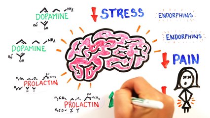 Is Masturbation Good or Bad for You - Find Here