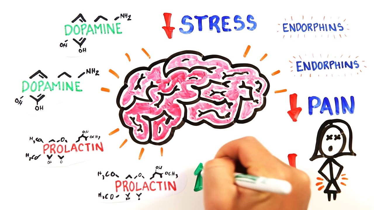 Is Masturbation Good or Bad for You - Find Here