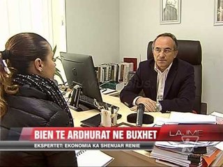 Bien të ardhurat në buxhet - News, Lajme - Vizion Plus