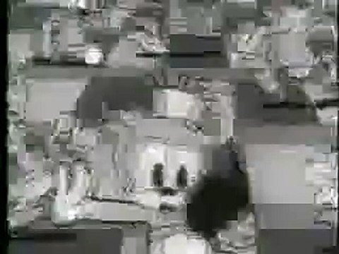 betty boop ches nuts