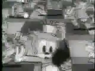 betty boop ches nuts