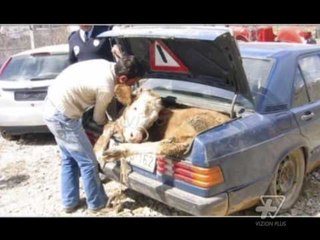 Bypass Show - 29 Mars 2015 - Pjesa e trete - Show - Vizion Plus