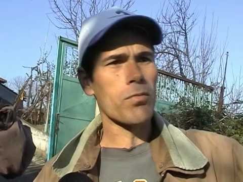 SHPERTHEJNE DY PUSE NAFTE NE MARINEZ BANORET NE RREZIK NDOTJA E MJEDISIT ALARMANTE LAJM