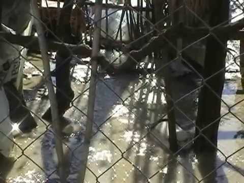 NIS VERIFIKIMI I DEMEVE NE MARINEZ TE FIERIT, HETOHET PER DEFEKT TEKNIK E SULM TERRORIST LAJM