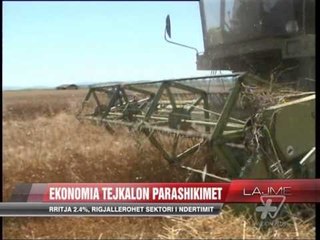Ekonomia tejkalon parashikimet, rritja 2.4% - News, Lajme - Vizion Plus