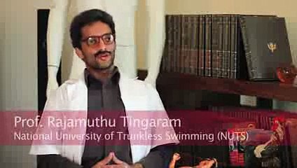 Barefoot Running for Swimmers - The Bareballs Professor