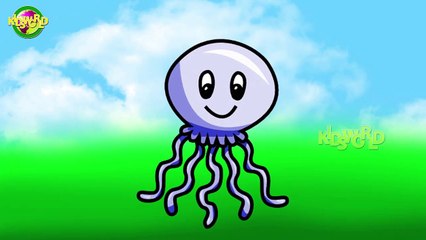 Jelly Fish Finger Family Rhymes | Kids World Cartoon Finger Family Rhymes |