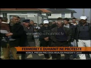 Korçë, fermerët e duhanit në protestë - Top Channel Albania - News - Lajme