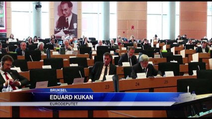 PE, MBESHTETJE REZOLUTES PER SHQIPERINE