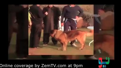 Ho Sakta Hai Kaheen Aur Shadi Karna Cha Rahe Hon-- Reham Khan_2