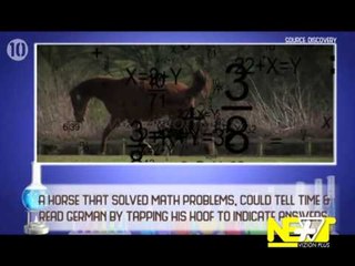 Next - 16 Prill 2015 - Show - Vizion Plus