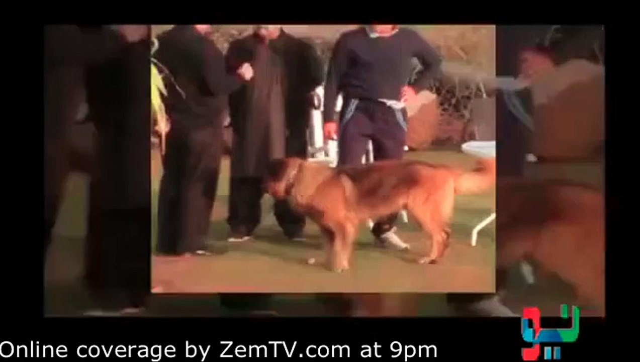 ریحام خان کا ایک اور بڑا انکشاف - ویڈیو دیکھیں