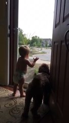 Toddler and dog - Daddy's home!