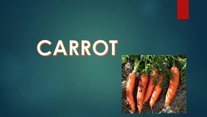 Identification of plants