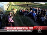 Halim Kosova me fermerët në Pezë - News, Lajme - Vizion Plus