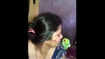 شرارتی طوطے کے لڑکی کے ساتھ مزے - ویڈیو دیکھیں