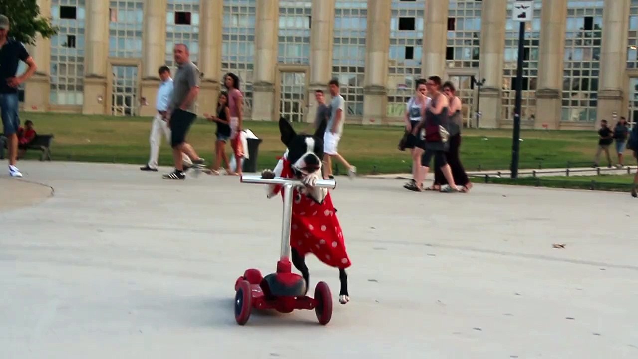La belle fait de la trottinette