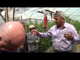 Halim Kosova takon tregtarët dhe fermerët  - Top Channel Albania - News - Lajme