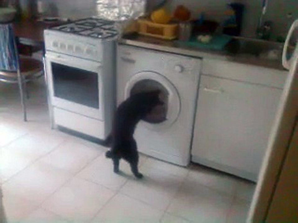 blaky s'amuse avec le lave linge