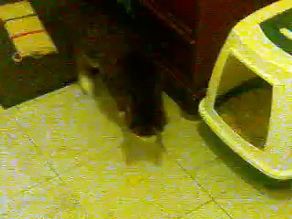 2012-02-14 09.55.44