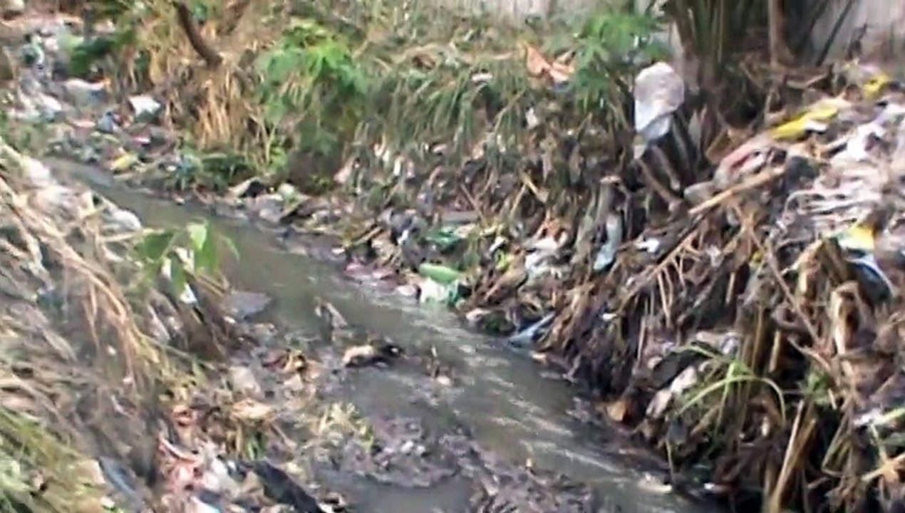 pont na congo rdc