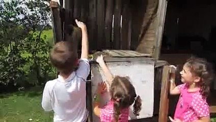 Top 10 Most Funny Monkey Videos 2015