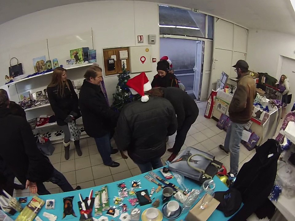 début du Noël des loulous
