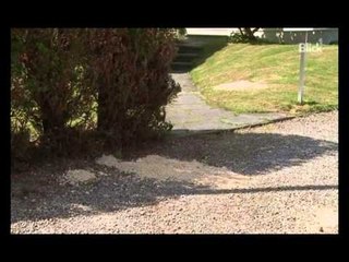 ZBARDHET MASAKRA NE ZVICER KU HUMBEN JETEN 5 PERSONA PER ARSYE DEPRESIONI LAJM