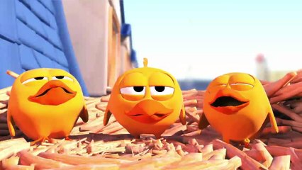 Short Animation - Pigeons - Cute animation