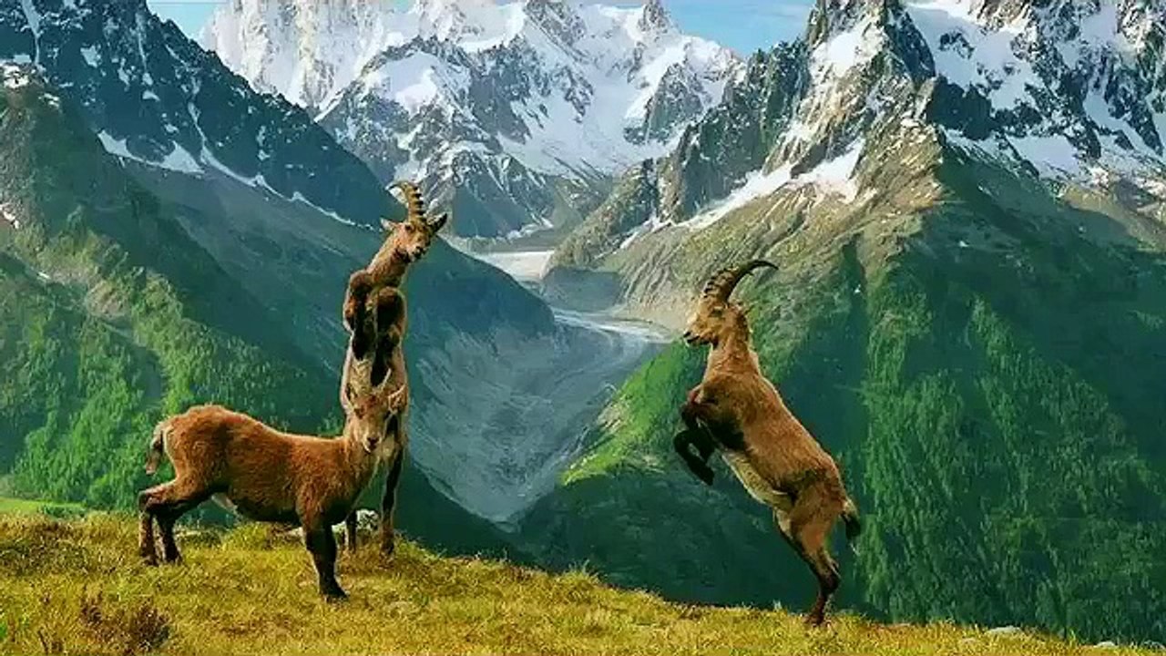 This is Pakistan - Gilgit Baltistan and Chitral Beauty!